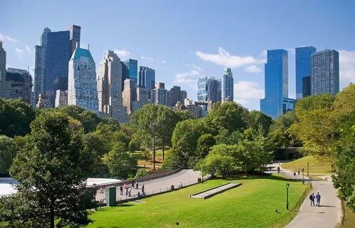 中央公园小区爆料视频,揭秘社区生活真实一面